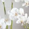 Nearly Natural; 2ft. Orchid Arrangement in Decorative Ceramic Vase; Category:Tabletop Floral Arrangements; Image:5